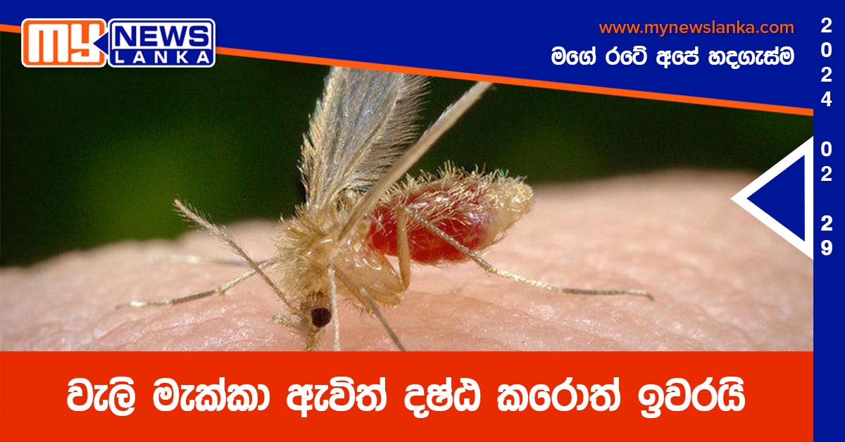 වැලි මැක්කා ඇවිත් දෂ්ඨ කරොත් ඉවරයි වැලි මැක්කා ඇවිත් දෂ්ඨ කරොත් ඉවරයි