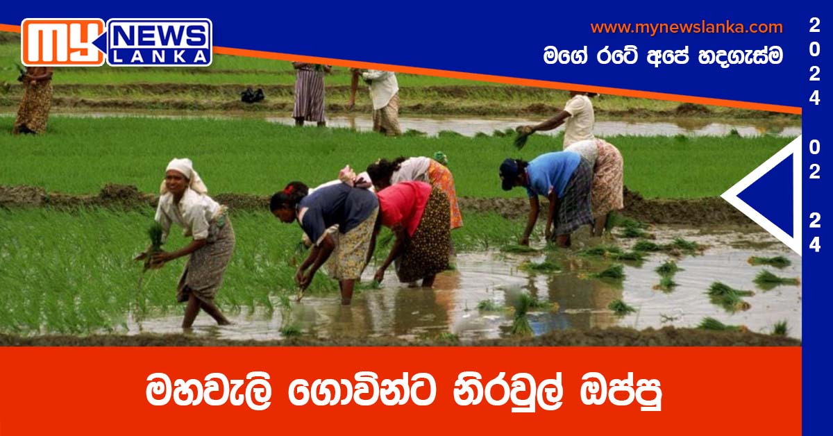 මහවැලි ගොවින්ට නිරවුල් ඔප්පු