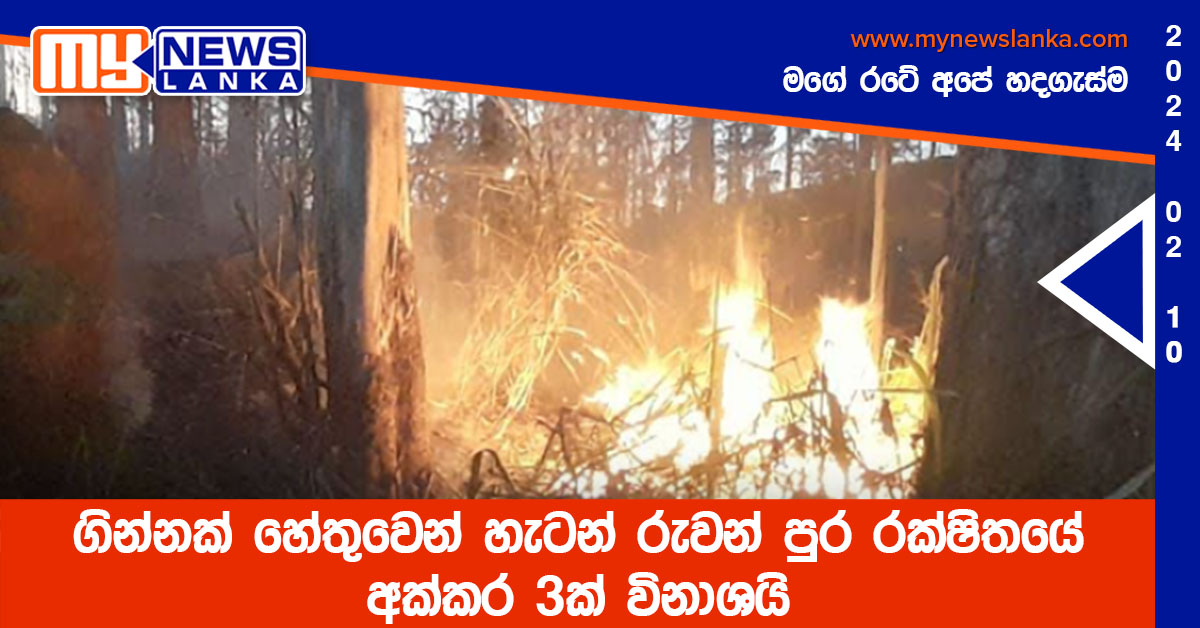 ගින්නක් හේතුවෙන් හැටන් රුවන් පුර රක්ෂිතයේ අක්කර 3ක් විනාශයි ගින්නක් හේතුවෙන් හැටන් රුවන් පුර රක්ෂිතයේ අක්කර 3ක් විනාශයි