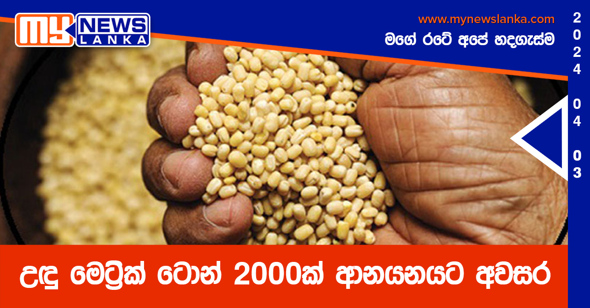 උඳු මෙට්රික් ටොන් 2000ක් ආනයනයට අවසර උඳු මෙට්රික් ටොන් 2000ක් ආනයනයට අවසර