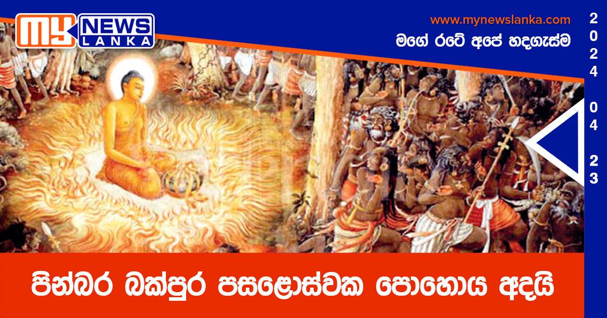 පින්බර බක් පුර පසළොස්වක පොහොය අදයි පින්බර බක් පුර පසළොස්වක පොහොය අදයි