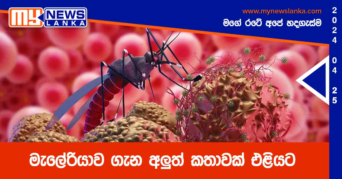 මැලේරියාව ගැන අලුත් කතාවක් එළියට