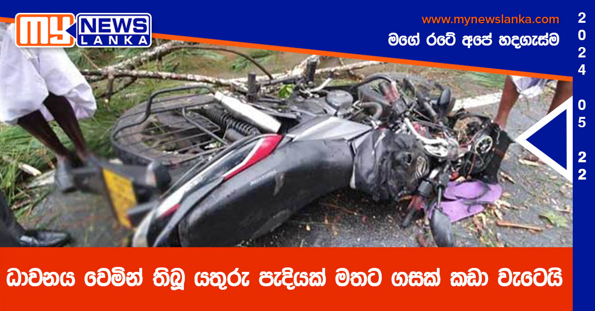 ධාවනය වෙමින් තිබූ යතුරු පැදියක් මතට ගසක් කඩා වැටෙයි ධාවනය වෙමින් තිබූ යතුරු පැදියක් මතට ගසක් කඩා වැටෙයි