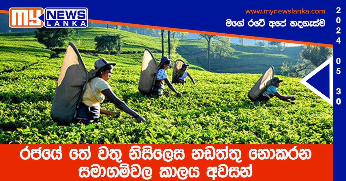 රජයේ තේ වතු නිසිලෙස නඩත්තු නොකරන සමාගම්වල කාලය අවසන් රජයේ තේ වතු නිසිලෙස නඩත්තු නොකරන සමාගම්වල කාලය අවසන්
