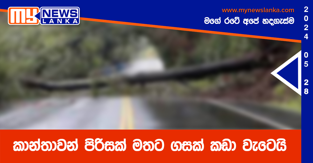 කාන්තාවන් පිරිසක් මතට ගසක් කඩා වැටෙයි කාන්තාවන් පිරිසක් මතට ගසක් කඩා වැටෙයි