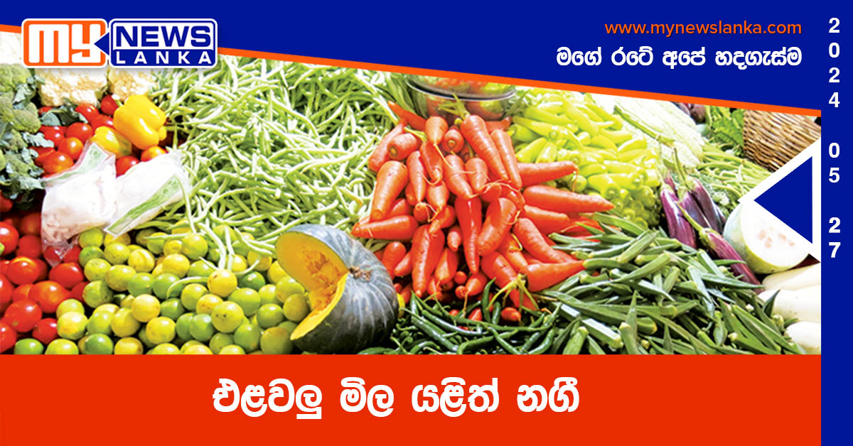 එළවලු මිල යළිත් නගී එළවලු මිල යළිත් නගී