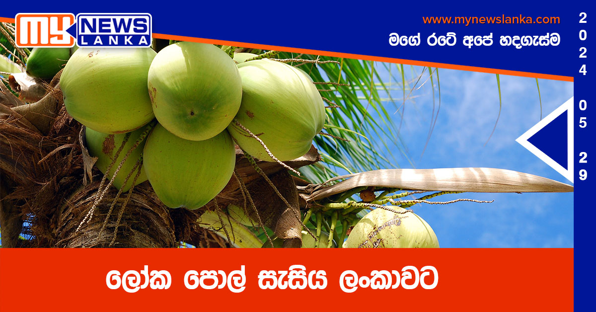 ලෝක පොල් සැසිය ලංකාවට ලෝක පොල් සැසිය ලංකාවට