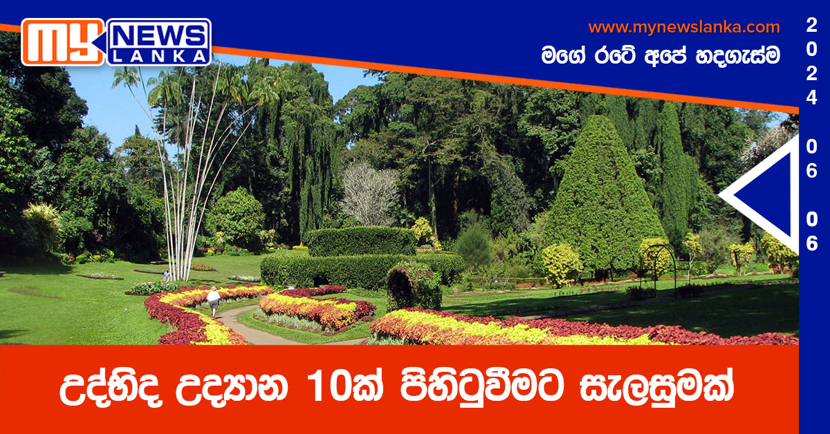 උද්භිද උද්යාන 10ක් පිහිටුවීමට සැලසුමක් උද්භිද උද්යාන 10ක් පිහිටුවීමට සැලසුමක්