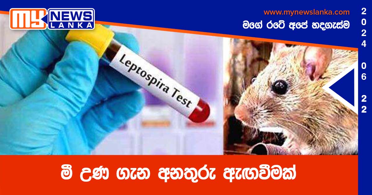 මී උණ ගැන අනතුරු ඇඟවීමක් මී උණ ගැන අනතුරු ඇඟවීමක්