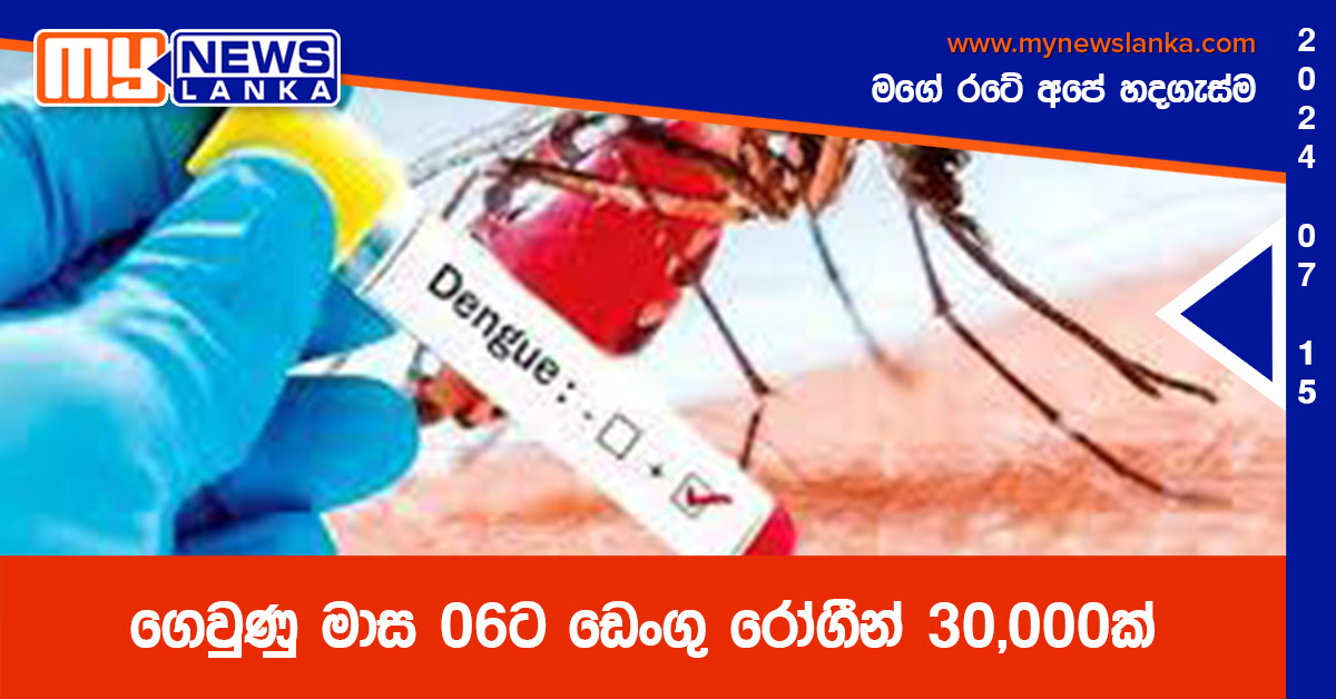ගෙවුණු මාස 06 ට ඩෙංගු රෝගීන් 30,000ක් ගෙවුණු මාස 06 ට ඩෙංගු රෝගීන් 30,000ක්