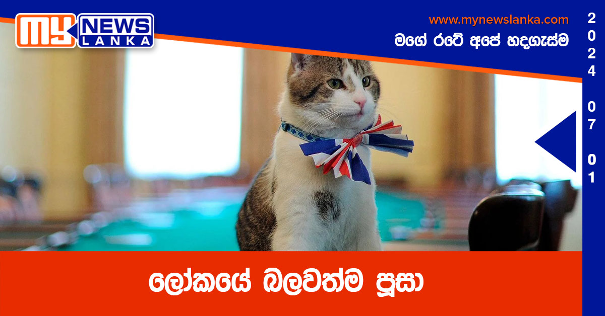 ලෝකයේ බලවත්ම පූසා ලෝකයේ බලවත්ම පූසා