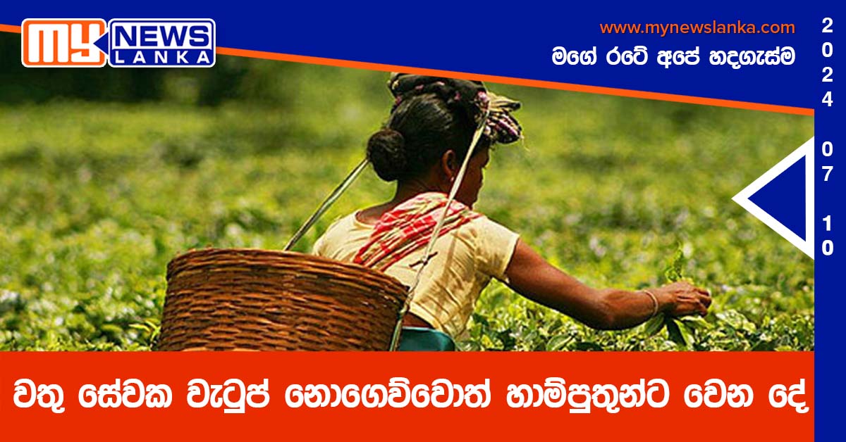 වතු සේවක වැටුප් නොගෙව්වොත් හාම්පුතුන්ට වෙන දේ වතු සේවක වැටුප් නොගෙව්වොත් හාම්පුතුන්ට වෙන දේ