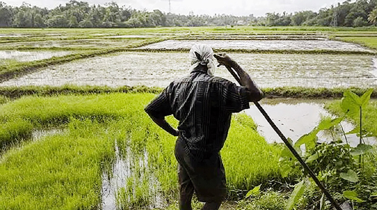 සියලූම වගා ණය කපා හැරීමට රජයෙන් තීරණයක්