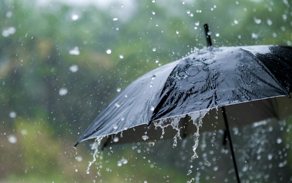 වැසි තත්ත්වයේ වැඩිවීමක් වැසි තත්ත්වයේ වැඩිවීමක්