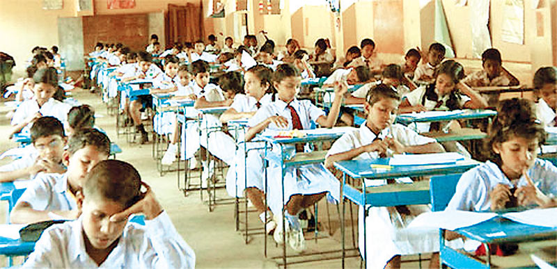 පහේ හපනුන්ගේ විභාගය අදයි පහේ හපනුන්ගේ විභාගය අදයි