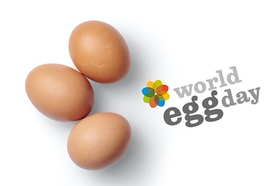 ලෝක බිත්තර දිනය අද ලෝක බිත්තර දිනය අද