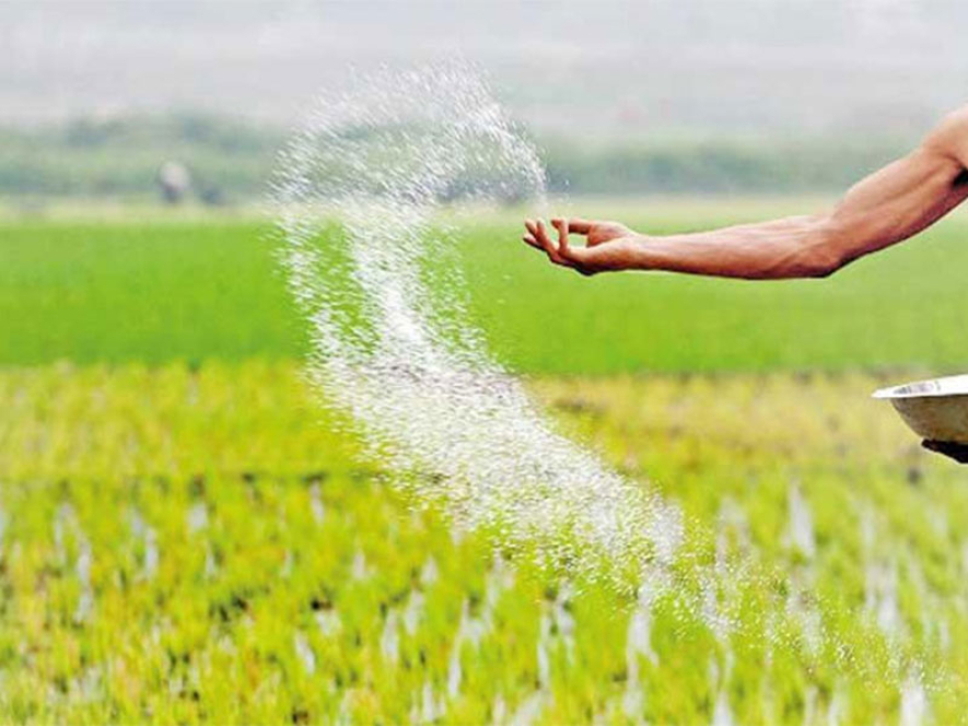 රු 25,000ක පොහොර සහනාධාරය දෙන්න කිසිදු ගැටලුවක් නෑ රු 25,000ක පොහොර සහනාධාරය දෙන්න කිසිදු ගැටලුවක් නෑ