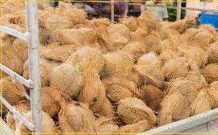 සතොස හරහා දෛනිකව අලෙවි කරන පොල් ගෙඩි සංඛ්යාව ලක්ෂ දෙකක් දක්වා ඉහළ දැරීමට පියවර සතොස හරහා දෛනිකව අලෙවි කරන පොල් ගෙඩි සංඛ්යාව ලක්ෂ දෙකක් දක්වා ඉහළ දැරීමට පියවර