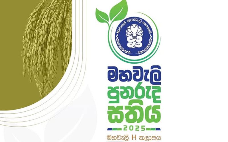 මහවැලි පුනරුද සතිය හෙටින් ඇරඹෙයි මහවැලි පුනරුද සතිය හෙටින් ඇරඹෙයි