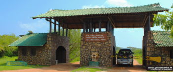 යාල ජාතික වනෝද්‍යානය තාවකාලිකව වසා දැමේ