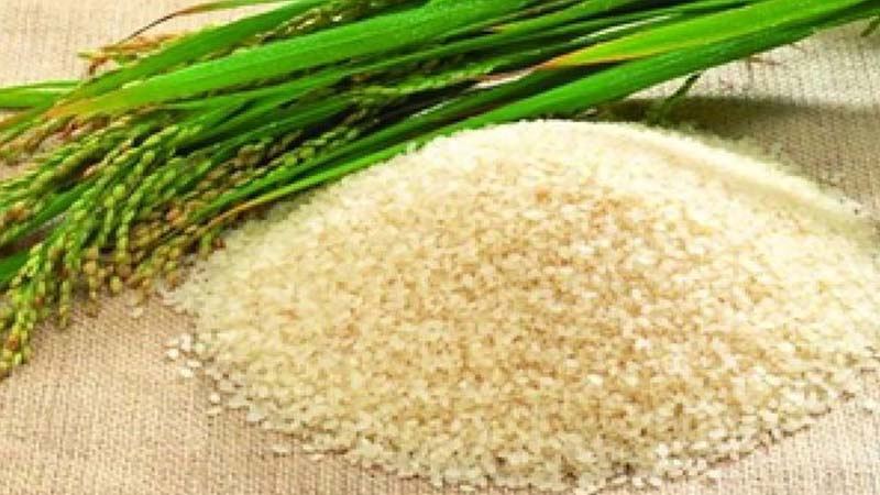 ජාතික අලුත් සහල් මංගල්‍යය අද