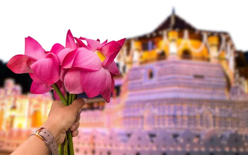 ‘සිරි දළදා වන්දනාවේ’ අවසන් දිනය අදයි ‘සිරි දළදා වන්දනාවේ’ අවසන් දිනය අදයි