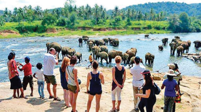 මේ දක්වා සංචාරකයින් ලක්ෂ 8ක් ලංකාවට ඇවිත් මේ දක්වා සංචාරකයින් ලක්ෂ 8ක් ලංකාවට ඇවිත්