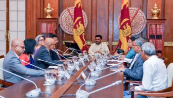 ජනපති සහ තානාපතිවරුන් පිරිසක් අතර හමුවක්