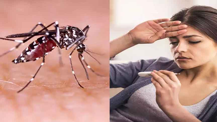 ඩෙංගු සහ චිකුන්ගුන්යා රෝගීන්ගේ වැඩි වීමක් ඩෙංගු සහ චිකුන්ගුන්යා රෝගීන්ගේ වැඩි වීමක්