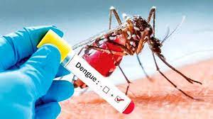 ඩෙංගු රෝගීන්ගේ ශීඝ්‍ර ව්‍යාප්තියක්