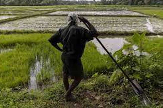 සිදු වූ වගා හානි පිළිබඳව දැනුම්දීමට දුරකථන අංකයක් සිදු වූ වගා හානි පිළිබඳව දැනුම්දීමට දුරකථන අංකයක්