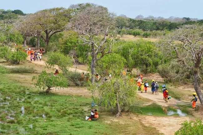 උතුරෙන් දකුණට එන පාද යාත්රාවට කුමන දොරටුව විවෘත කරයි උතුරෙන් දකුණට එන පාද යාත්රාවට කුමන දොරටුව විවෘත කරයි