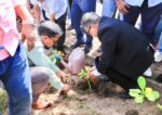 රතු දත්ත ලැයිස්තුවට ගිය තක්කඩ ශාකය රැකගන්න ලස්සන වැඩක්