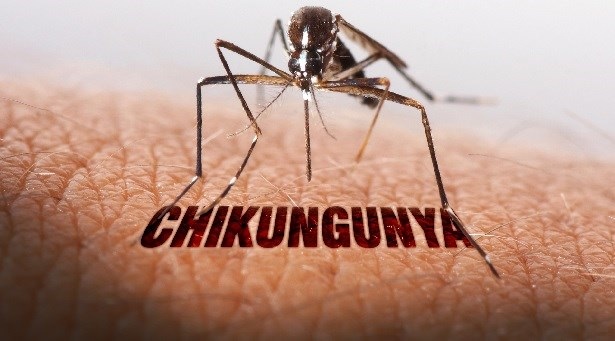 සෞඛ්ය අංශවලින් නිවේදනයක් සෞඛ්ය අංශවලින් නිවේදනයක්
