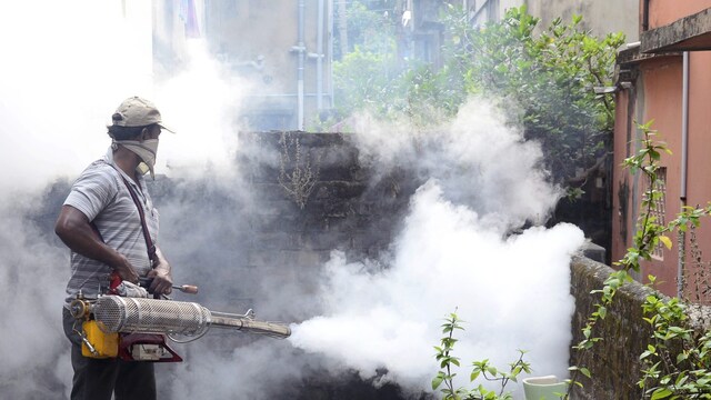 ඩෙංගු මර් දන සතියක් ඩෙංගු මර් දන සතියක්