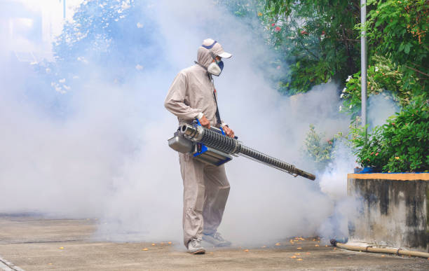 ඩෙංගු මර් දන සතියක් ඩෙංගු මර් දන සතියක්
