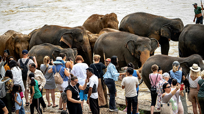මැයි මාසයේදී සංචාරකයන්ගේ පැමිණීම ලක්ෂය පනී