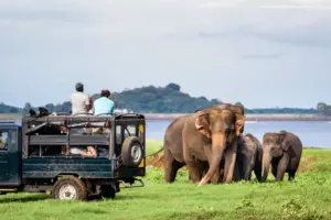 සංචාරක පැමිණීම දොළොස් ලක්ෂය පනී
