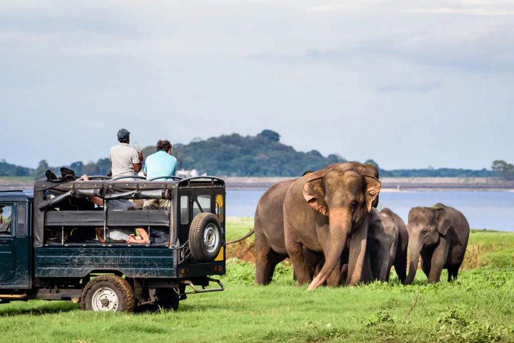 සංචාරක පැමිණීම දොළොස් ලක්ෂය පනී සංචාරක පැමිණීම දොළොස් ලක්ෂය පනී