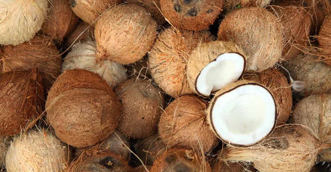 පොල් මිල තවදුරටත් ඉහළට