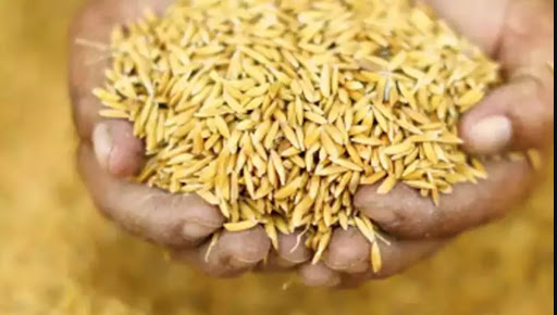 ඉතිහාසයේ පළමුවරට වී අලෙවි මණ්ඩලයෙන් තෙත වී මිලදී ගනියි