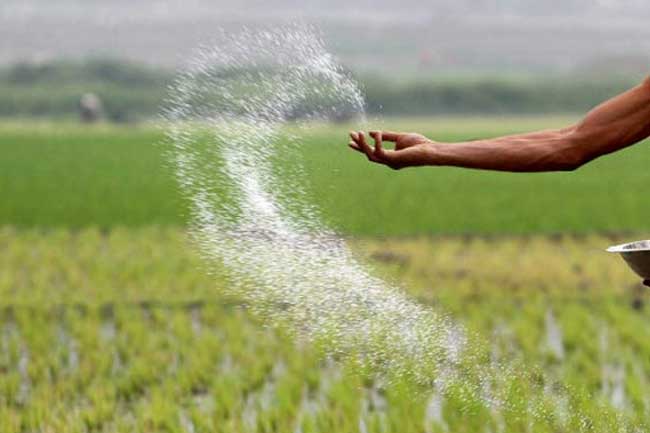 පොහොර සහනාධාරයටත් QR