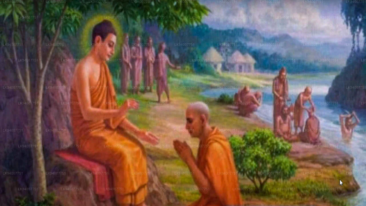 පින්බර නිකිණි පොහොය අද පින්බර නිකිණි පොහොය අද