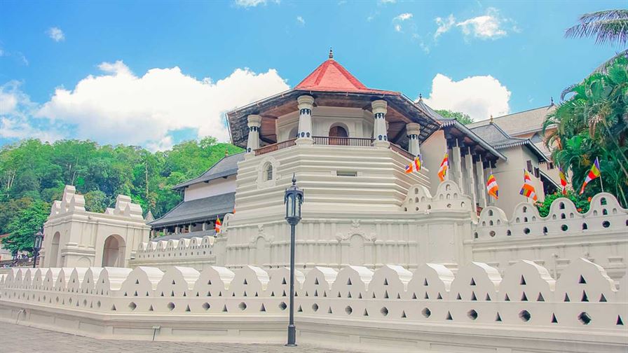 දළදා වහන්සේ උදෙසා ආදිවාසීන්ගේ මී පැණි පූජාව අද දළදා වහන්සේ උදෙසා ආදිවාසීන්ගේ මී පැණි පූජාව අද