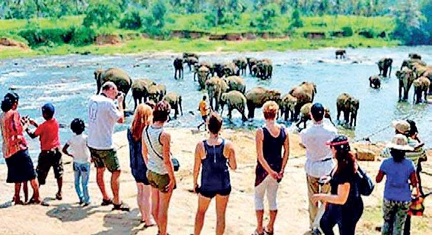 සංචාරක ආදායම ඉහළට සංචාරක ආදායම ඉහළට