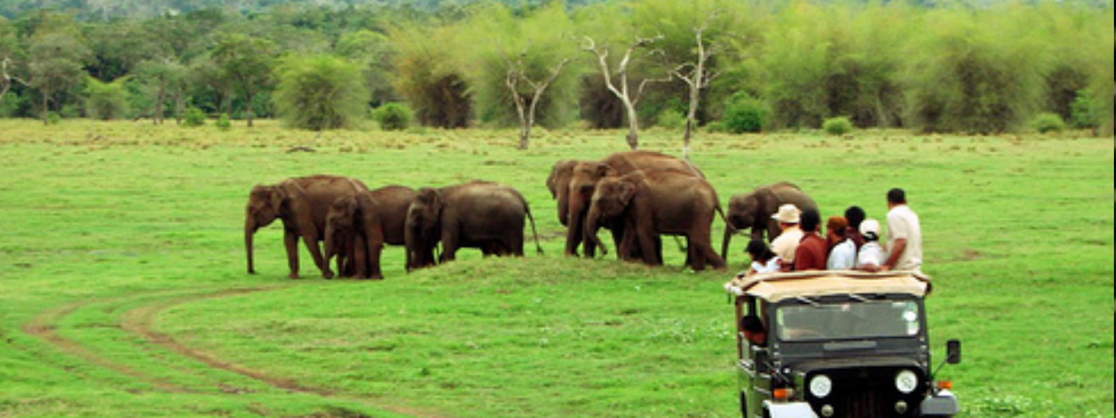 වනෝද්යාන නැරඹීම සඳහා ටිකට්පත් අද සිට ඔන්ලයින් ක්රමයට වනෝද්යාන නැරඹීම සඳහා ටිකට්පත් අද සිට ඔන්ලයින් ක්රමයට