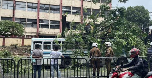 ඕල්කට් මාවතේ බස් රථයක් මතට ගසක් කඩා වැටෙයි