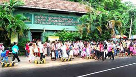 ජාතික සත්වෝද්යාන දෙපාර්තමේන්තුව අංශ රැසකින් අලුත් වෙයි – ආදායමත් නගී ජාතික සත්වෝද්යාන දෙපාර්තමේන්තුව අංශ රැසකින් අලුත් වෙයි – ආදායමත් නගී