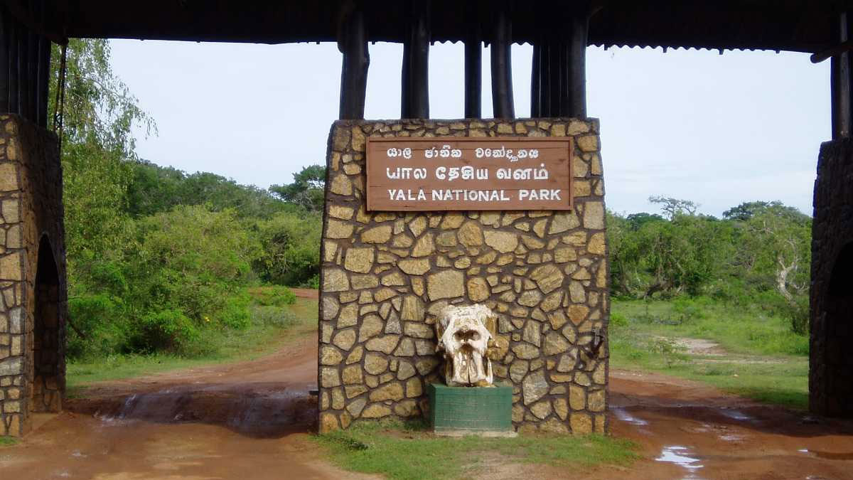 යාල වනෝද්‍යානයේ STF විශේෂ සෝදිසි මෙහෙයුමක්