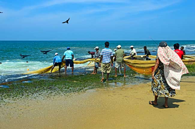 ධීවර ප්රජාවගේ නව විශ්රාම වැටුප් යෝජනා ක්රමය අද ඇරඹේ ධීවර ප්රජාවගේ නව විශ්රාම වැටුප් යෝජනා ක්රමය අද ඇරඹේ